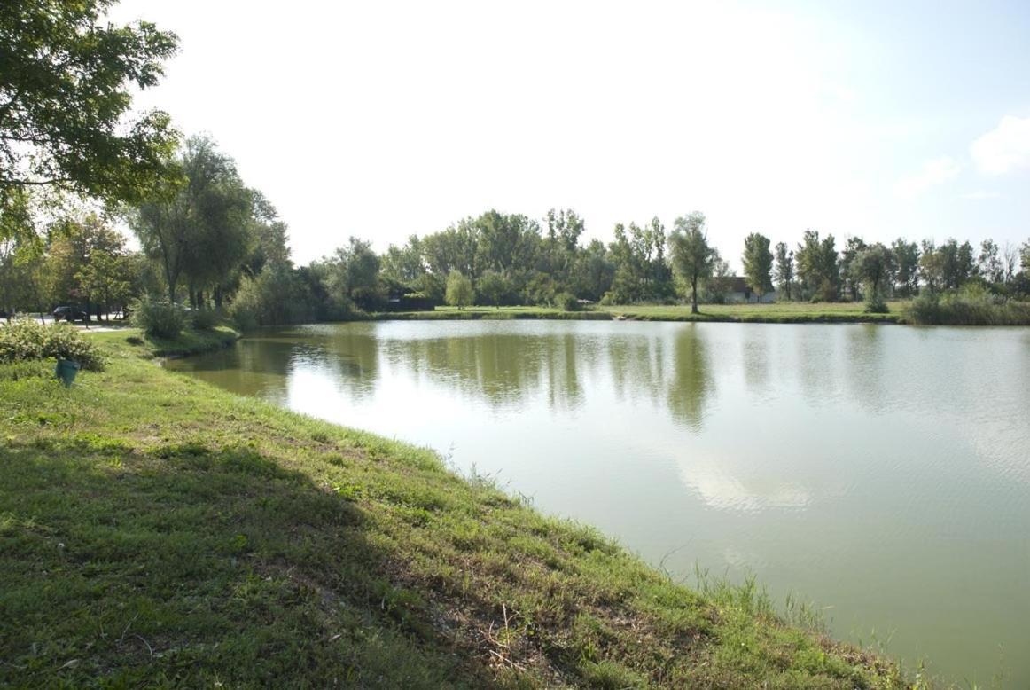 Residenz Velich Ξενοδοχείο Apetlon Εξωτερικό φωτογραφία